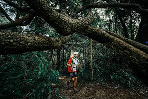 BIB: 
                            <button type="button" onclick="openModal(25705287)" class="btn btn-primary btn-sm float-right btn-popup" data-toggle="modal" data-target=".modal-high-quality">
                        <i class="fas fa-shopping-cart"></i> Add to Cart
                    </button>
                                            <button type="button" onclick="isThisMe(25705287, true)" class="btn btn-success btn-sm float-right btn-popup btn-isme hidden" data-toggle="tooltip" data-placement="bottom" title="นี่คือรูปของคุณใช่ไหม คลิกที่นี่เพื่อเอาเข้าอัลบั้ม">
                        <i class="fas fa-plus"></i> Add to album
                    </button>
                    <button type="button" onclick="isThisMe(25705287, false)" class="btn btn-warning btn-sm float-right btn-popup btn-isnotme hidden">
                        <i class="fas fa-ban"></i> Remove from album
                    </button>